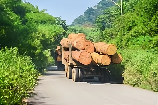 Forests in Republic of Congo under strain from overlapping land use