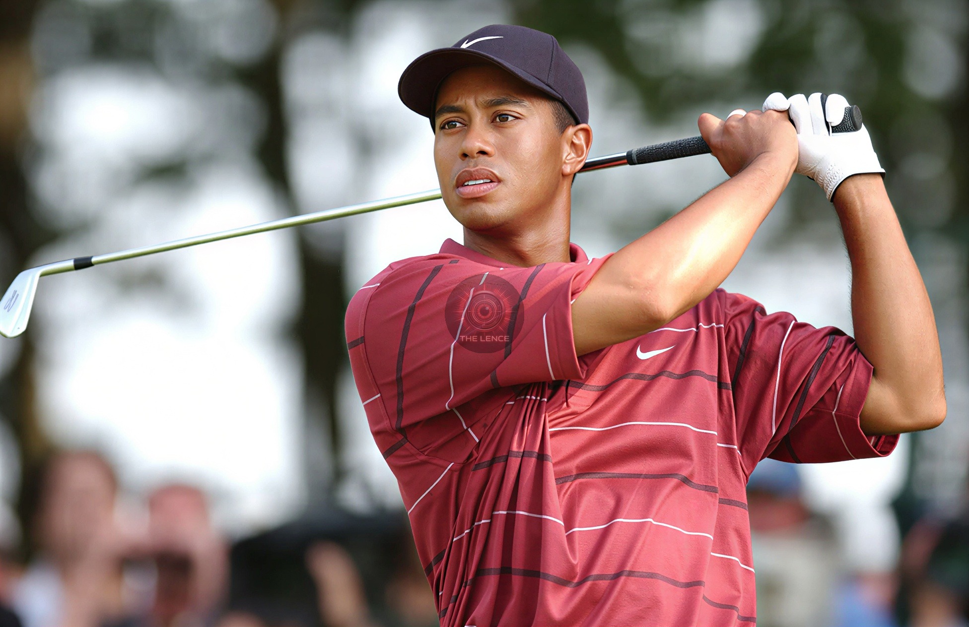 Baking : Tiger Woods Charged with DUI After Florida Crash.