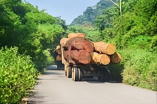 Forests in Republic of Congo under strain from overlapping land use