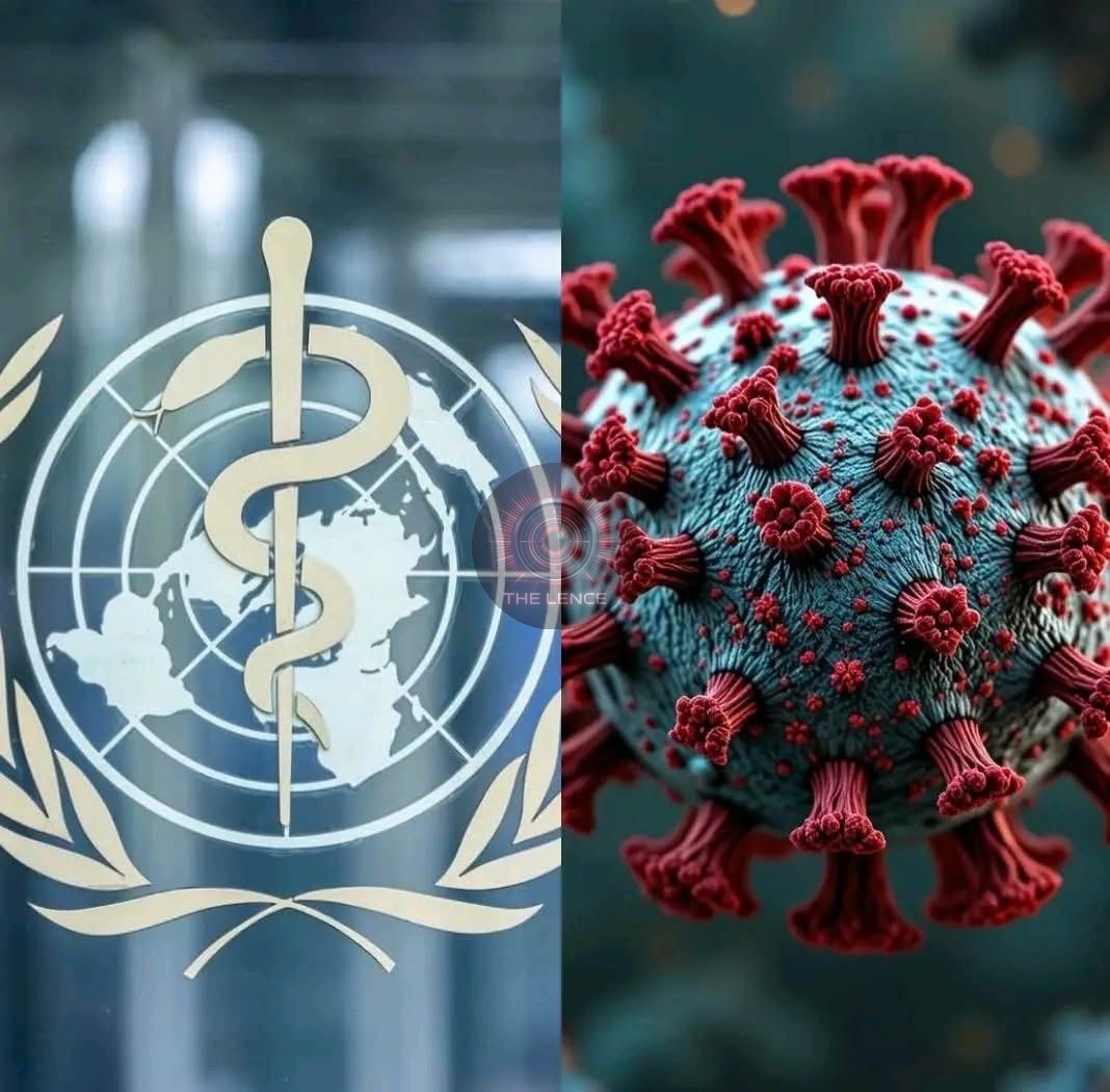 World Health Organization Confirms 8 Linked Cases in New Hantavirus Outbreak