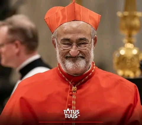 Cardinal steps aside amid sexual assault investigation