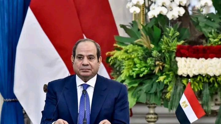 Egypt President Abdel al-Sisi promises to step down in 2030